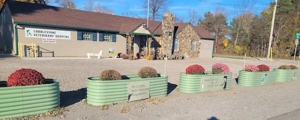 The front of Cobblestone Veterinary Hospital with its flower planters
